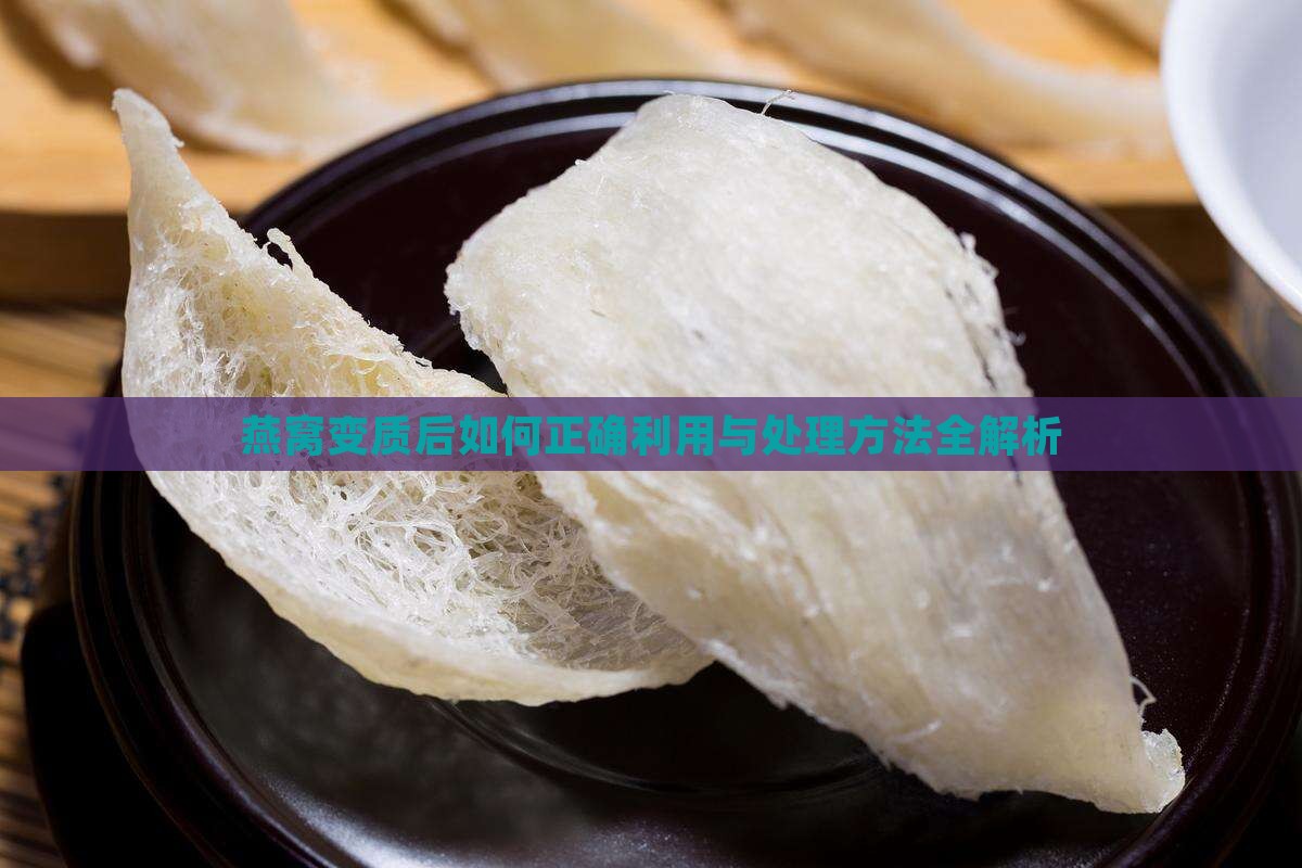 燕窝变质后如何正确利用与处理方法全解析