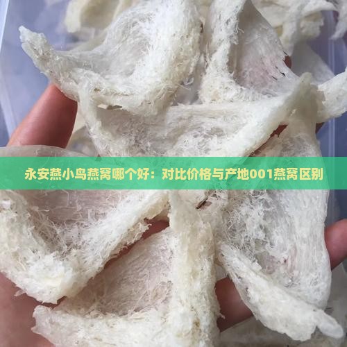 永安燕小鸟燕窝哪个好：对比价格与产地001燕窝区别