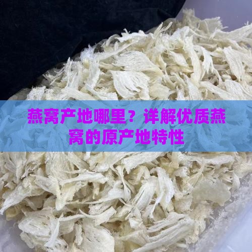 燕窝产地哪里？详解优质燕窝的原产地特性