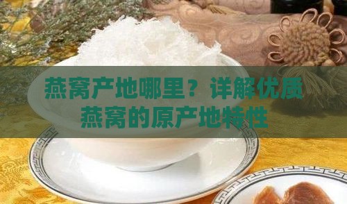 燕窝产地哪里？详解优质燕窝的原产地特性