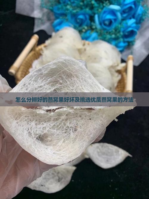 怎么分辨好的燕窝果好坏及挑选优质燕窝果的方法