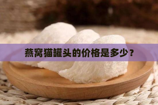 燕窝猫罐头的价格是多少？