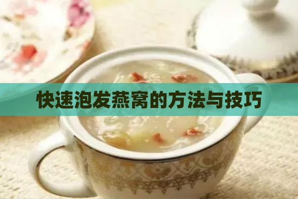 快速泡发燕窝的方法与技巧