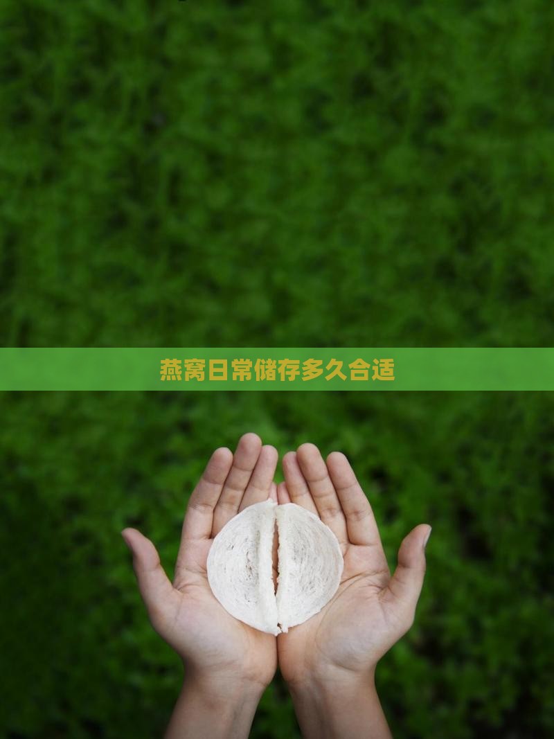 燕窝日常储存多久合适