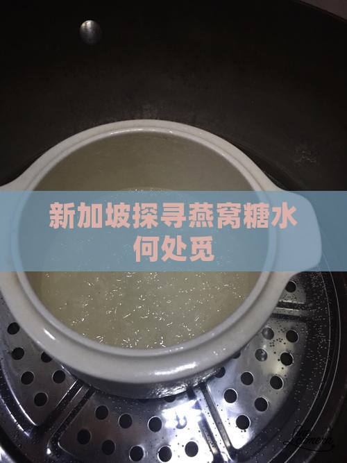 新加坡探寻燕窝糖水何处觅