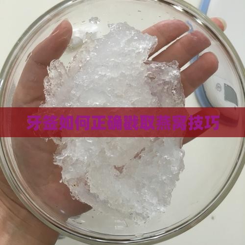 牙签如何正确戳取燕窝技巧