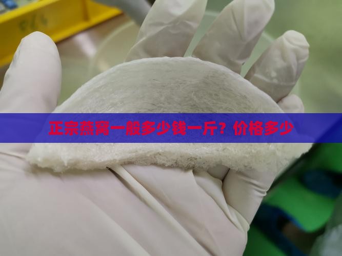 正宗燕窝一般多少钱一斤？价格多少
