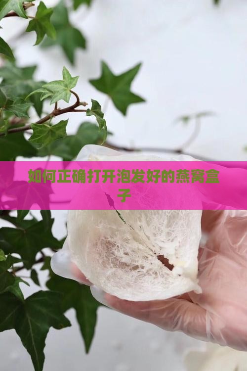 如何正确打开泡发好的燕窝盒子