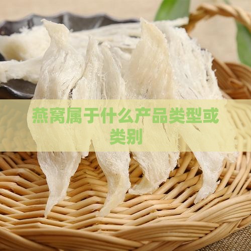 燕窝属于什么产品类型或类别