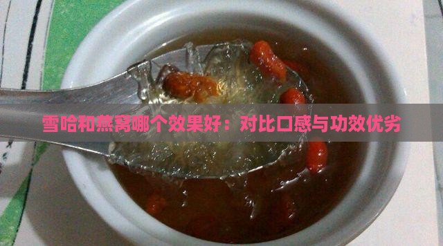 雪哈和燕窝哪个效果好：对比口感与功效优劣