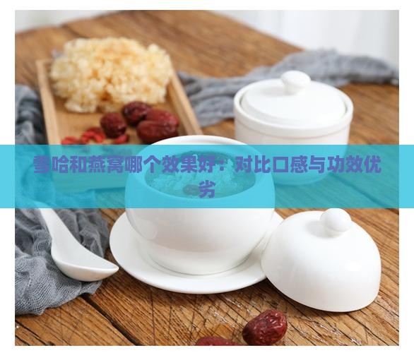 雪哈和燕窝哪个效果好：对比口感与功效优劣