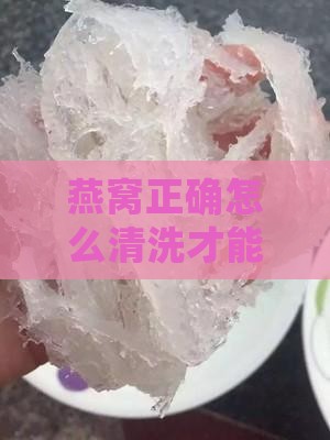燕窝正确怎么清洗才能保证干净