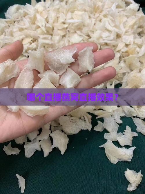 哪个直播燕窝直播效果？