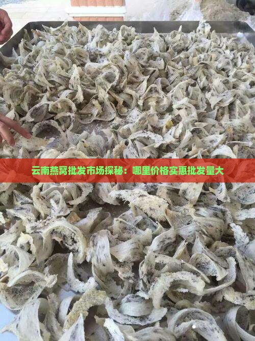 云南燕窝批发市场探秘：哪里价格实惠批发量大
