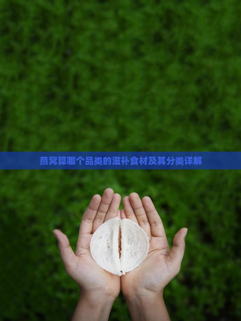 燕窝算哪个品类的滋补食材及其分类详解