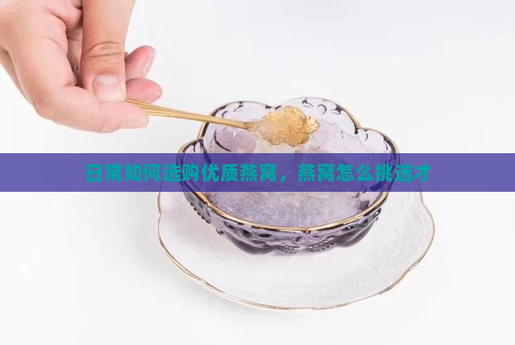 日常如何选购优质燕窝，燕窝怎么挑选才