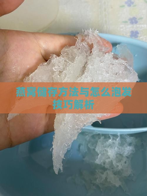 燕窝储存方法与怎么泡发技巧解析