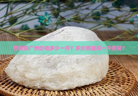 燕窝在广州价格多少一斤？多少钱能买一斤燕窝？