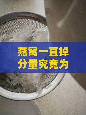 燕窝一直掉分量究竟为什么