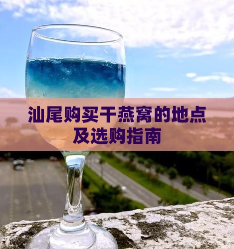 汕尾购买干燕窝的地点及选购指南