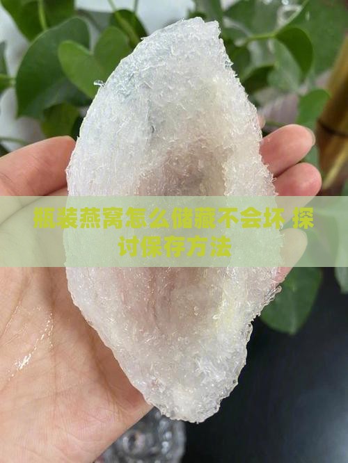 瓶装燕窝怎么储藏不会坏 探讨保存方法
