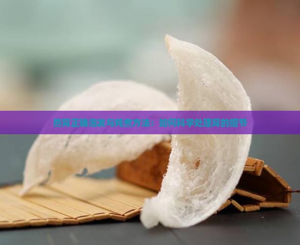 燕窝正确泡发与炖煮方法：如何科学处理窝的细节