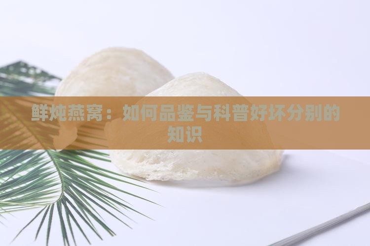 鲜炖燕窝：如何品鉴与科普好坏分别的知识