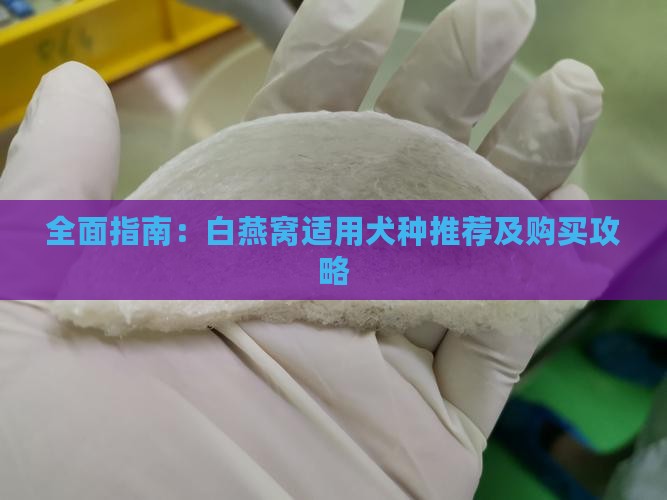 全面指南：白燕窝适用犬种推荐及购买攻略
