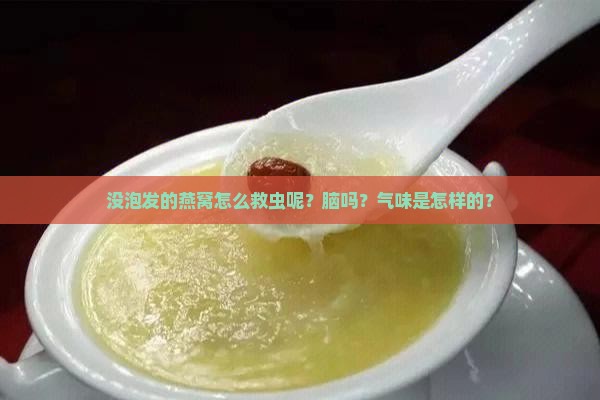 没泡发的燕窝怎么救虫呢？脑吗？气味是怎样的？