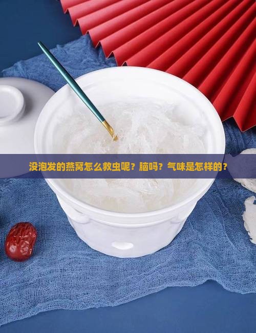没泡发的燕窝怎么救虫呢？脑吗？气味是怎样的？
