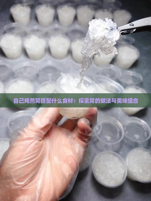 自己炖燕窝搭配什么食材：探索窝的做法与美味组合