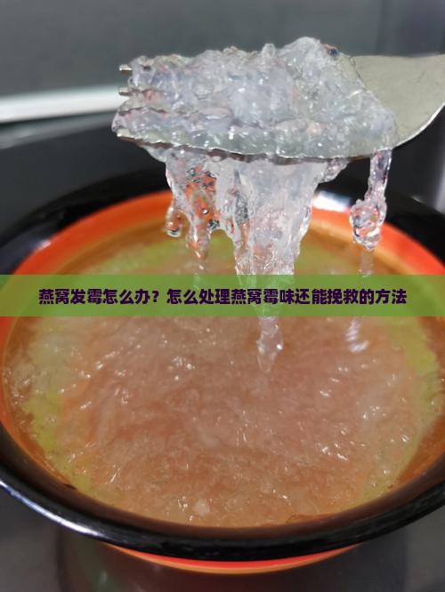 燕窝发霉怎么办？怎么处理燕窝霉味还能挽救的方法