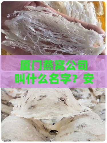 厦门燕窝公司叫什么名字?安居知多少 厦门燕窝公司叫什么名字?安居知多少