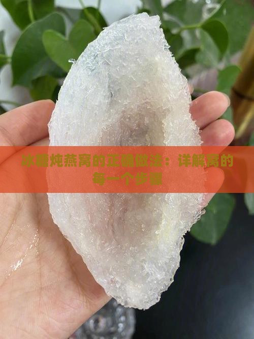 冰糖炖燕窝的正确做法：详解窝的每一个步骤