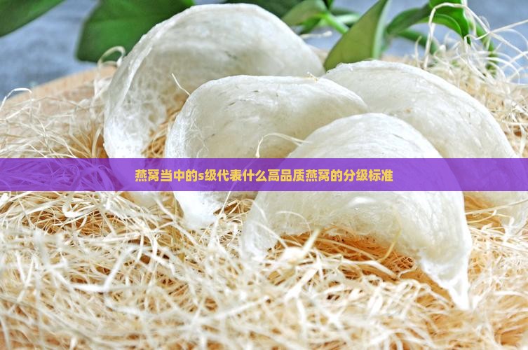 燕窝当中的s级代表什么高品质燕窝的分级标准