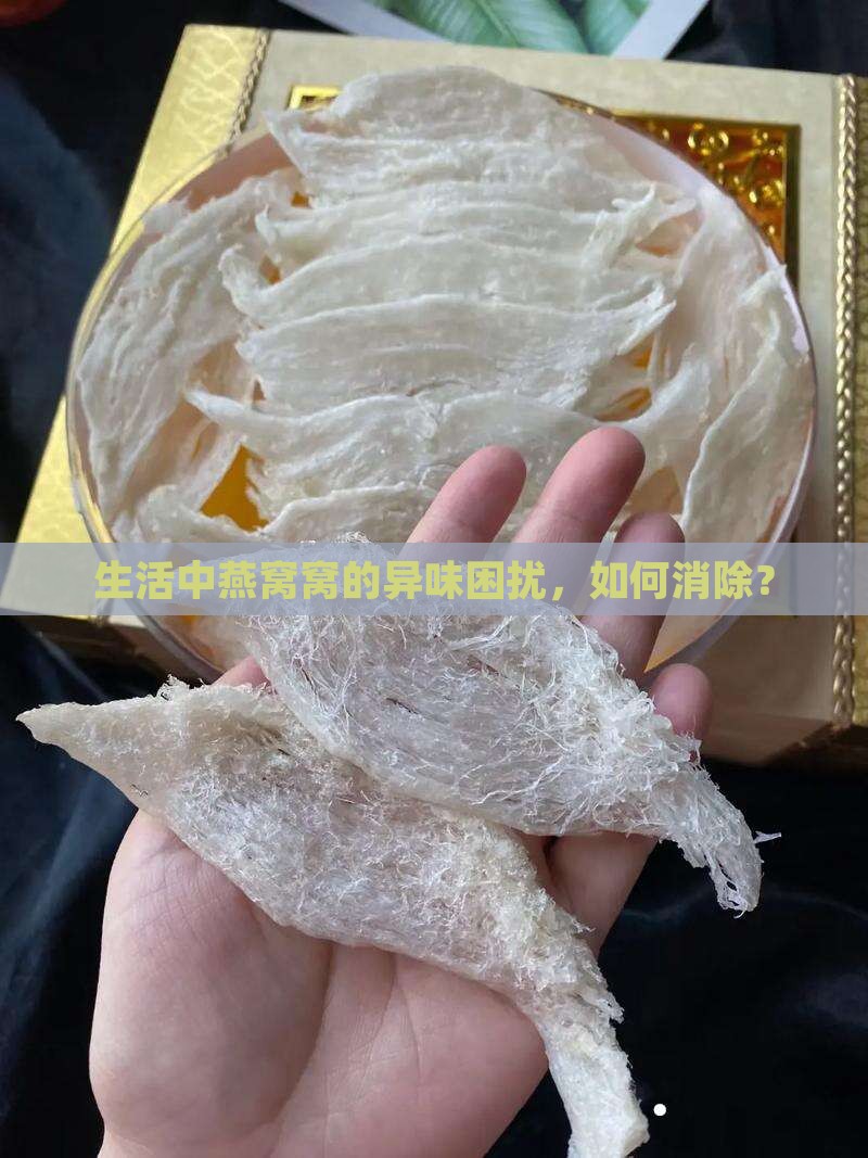 生活中燕窝窝的异味困扰，如何消除？