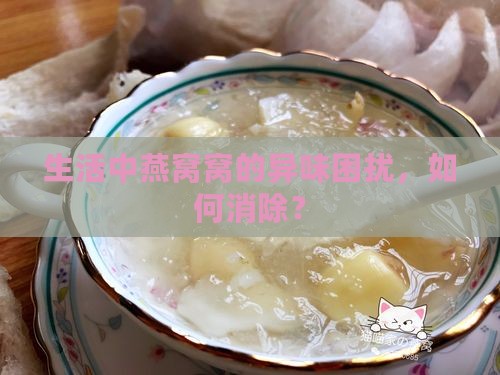 生活中燕窝窝的异味困扰，如何消除？
