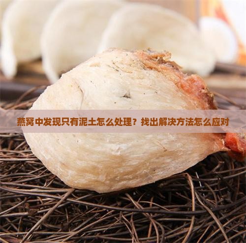燕窝中发现只有泥土怎么处理？找出解决方法怎么应对