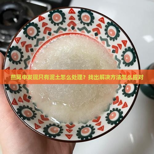 燕窝中发现只有泥土怎么处理？找出解决方法怎么应对