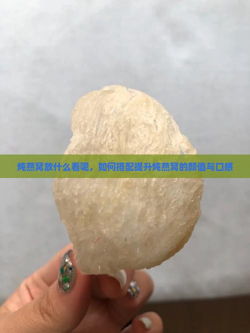 炖燕窝放什么看呢，如何搭配提升炖燕窝的颜值与口感