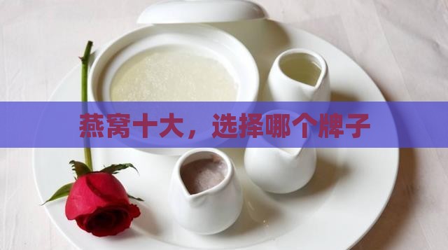 燕窝十大，选择哪个牌子