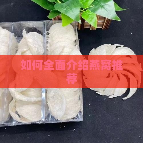 如何全面介绍燕窝推荐