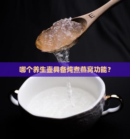 哪个养生壶具备炖煮燕窝功能？