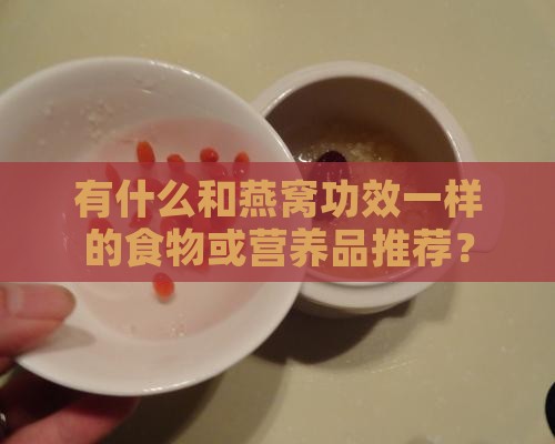 有什么和燕窝功效一样的食物或营养品推荐？