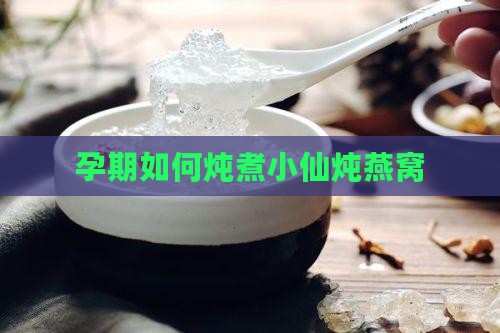 孕期如何炖煮小仙炖燕窝