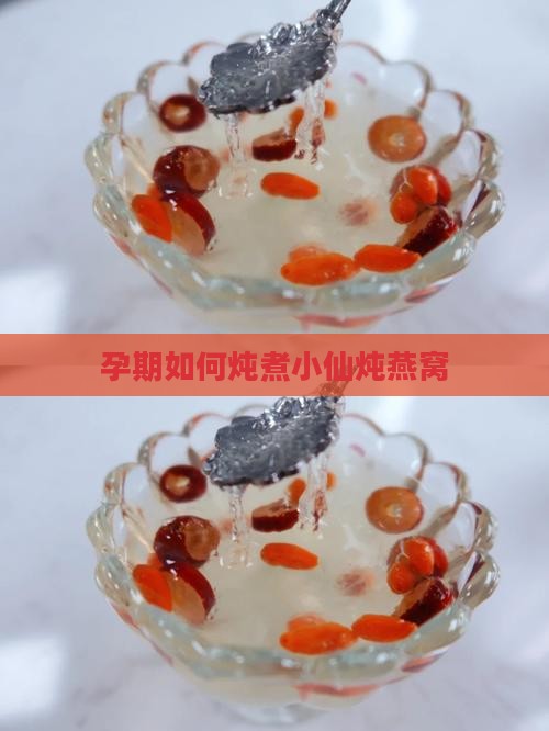 孕期如何炖煮小仙炖燕窝