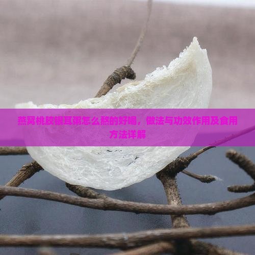 燕窝桃胶银耳粥怎么熬的好喝，做法与功效作用及食用方法详解