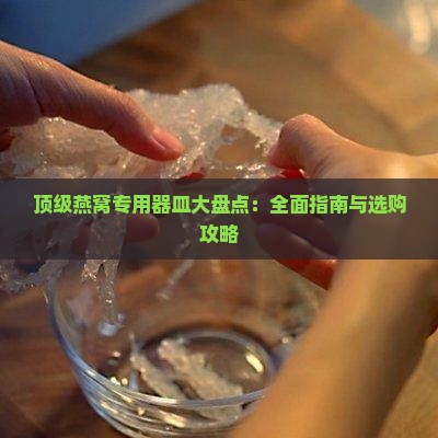 顶级燕窝专用器皿大盘点：全面指南与选购攻略