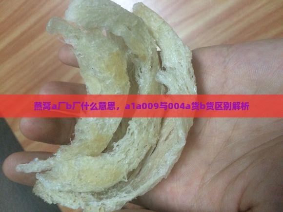 燕窝a厂b厂什么意思，a1a009与004a货b货区别解析