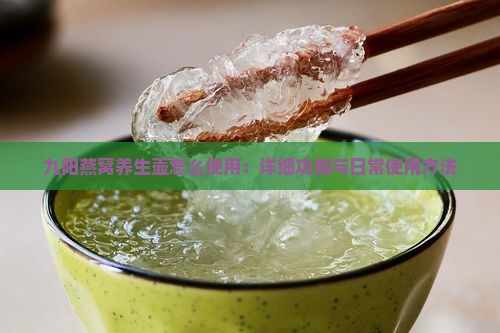 九阳燕窝养生壶怎么使用：详细功能与日常使用方法